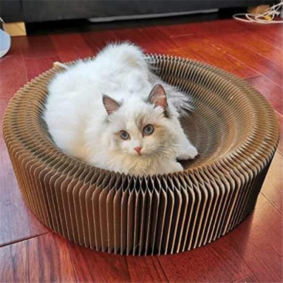 Cat Scratcher Lounge Bed - Collapsible Round Shape for Big cat - Picture 4 of 6